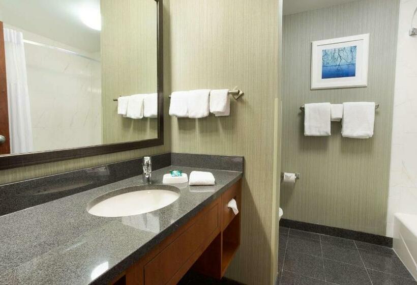 Номер Deluxe Кровать Кинг, Drury Inn & Suites Burlington