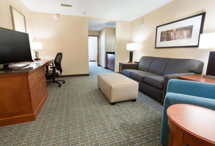 Люкс, Drury Inn & Suites Burlington