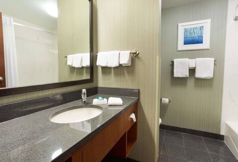 Номер Deluxe, Drury Inn & Suites Burlington