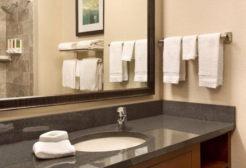 Люкс Адаптированный для Инвалидов, Drury Inn & Suites Burlington