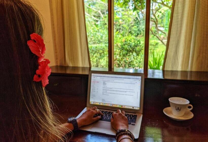 سوییت سوپریور, Jaco Hotel Docelunas