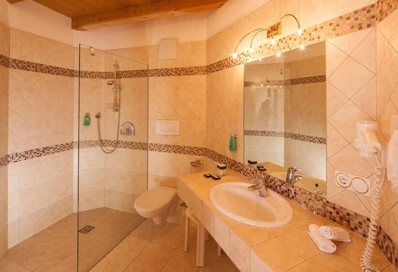 Номер Стандарт Вид на Горы, Berglandhotel Untertheimerhof