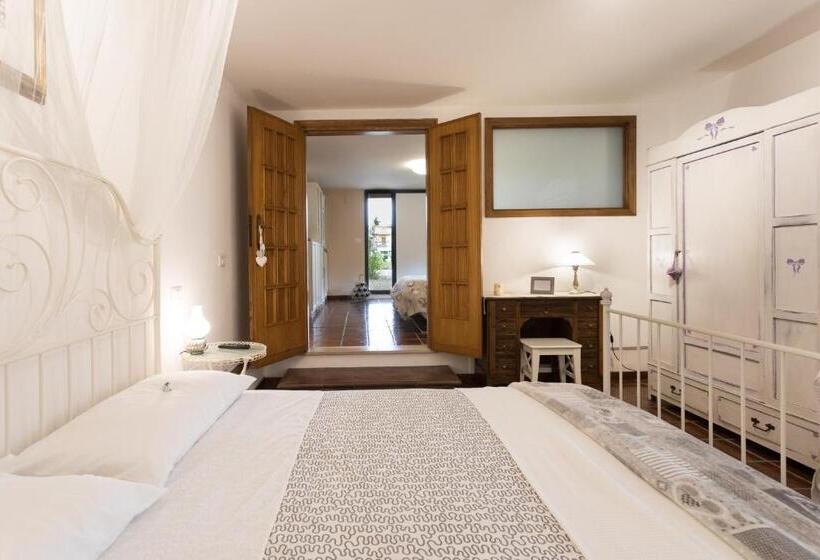 جناح, Assisi Charme