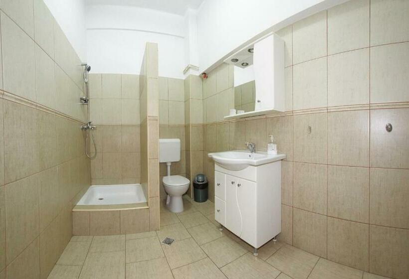 اتاق استاندارد, Tranzit