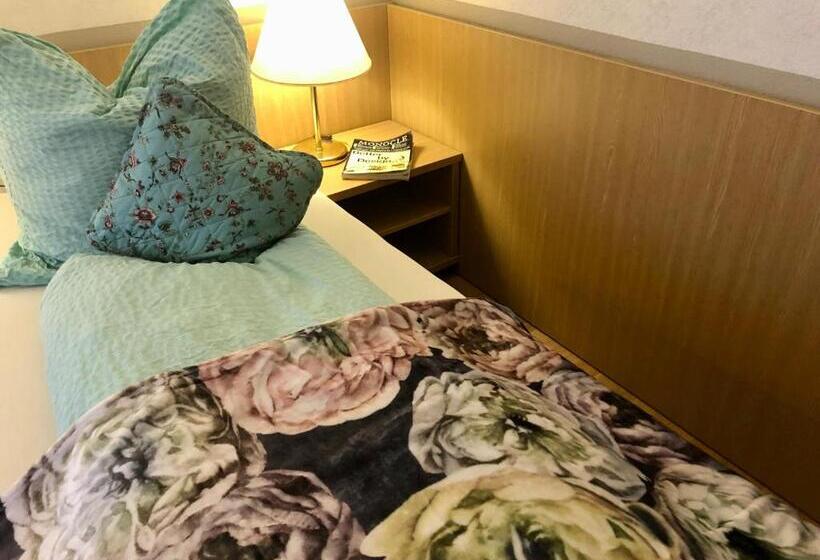 Номер Economy, B&b Apart Hotel Goldener Hahn   Guesthouse Hirsch Baiersbronn