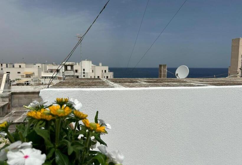סוויטת ג'וניור עם טרסה, Trame   Poesia Di Mare