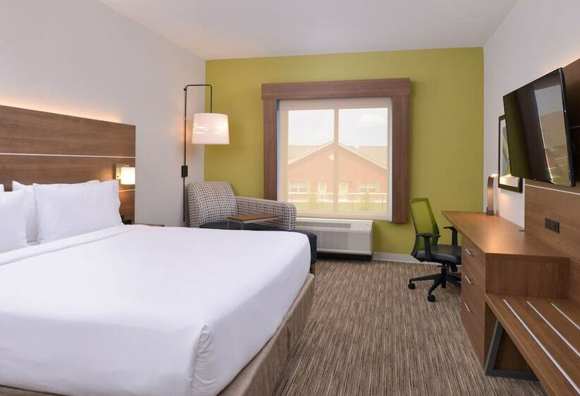 套房, Holiday Inn Express   Nashville South   Spring Hill, An Ihg