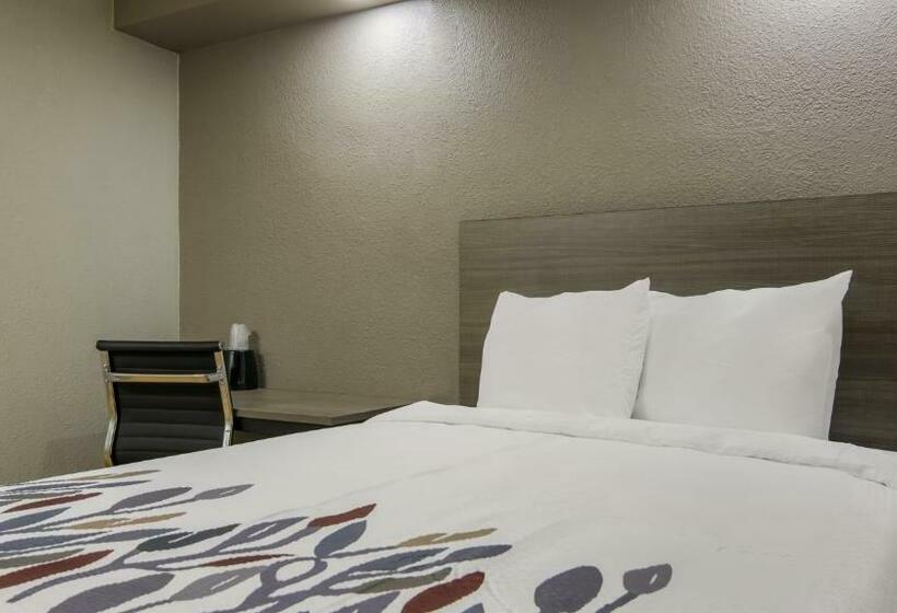Standard Værelse Tilpasset til Handicappede, Red Roof Inn And Conference Center Chicago   N Aurora Naperville