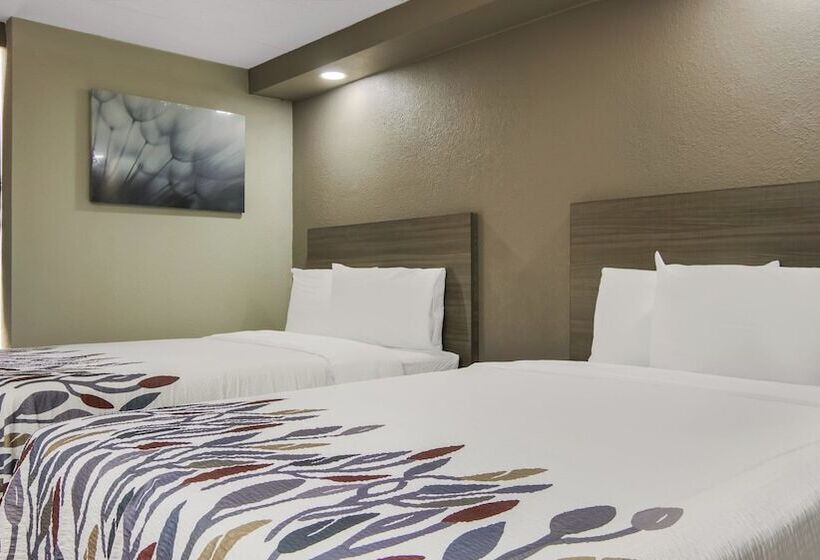 Standard Værelse 2 Dobbeltsenge, Red Roof Inn And Conference Center Chicago   N Aurora Naperville