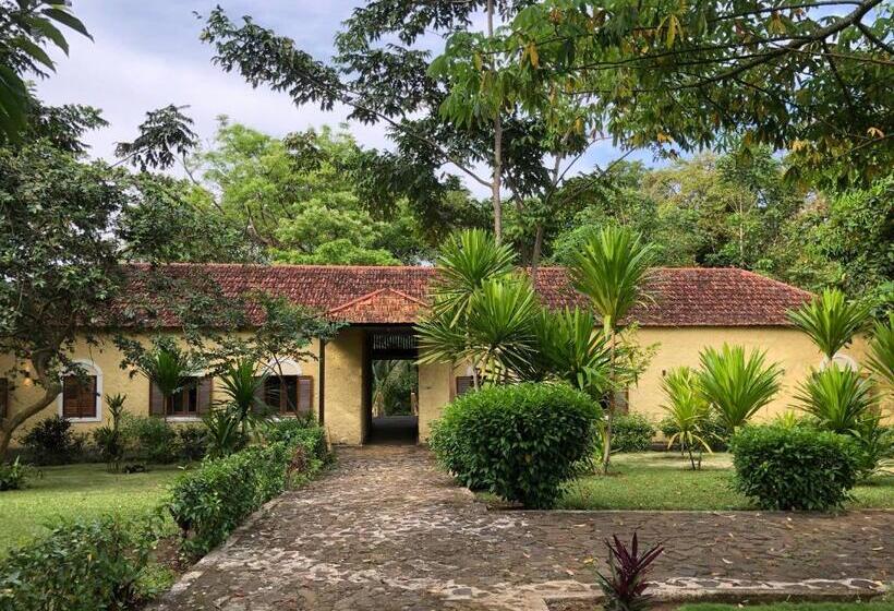 اتاق سوپریور با چشم‌انداز باغ, Belo Monte Hotel And Museum