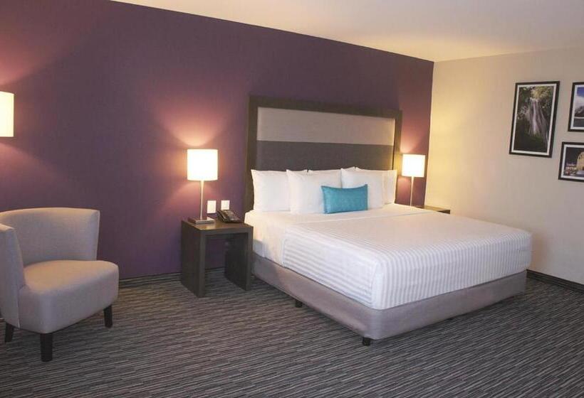 身障者適用キングサイズベッドルーム, Chn Hotel Monterrey Aeropuerto, Trademark By Wyndham