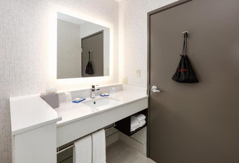 Стандартный Номер Кровать Кинг, Holiday Inn Express & Suites Dallas Nw   Farmers Branch, An Ihg