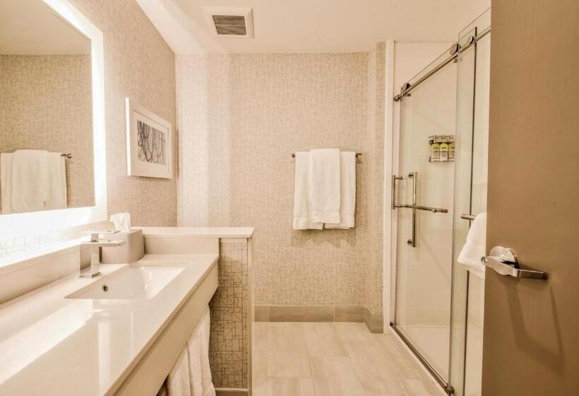 Люкс Адаптированный для Инвалидов, Holiday Inn Express & Suites Dallas Nw   Farmers Branch, An Ihg