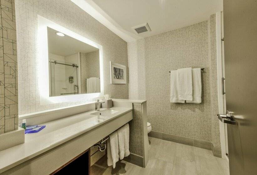 Номер Стандарт, Holiday Inn Express & Suites Dallas Nw   Farmers Branch, An Ihg
