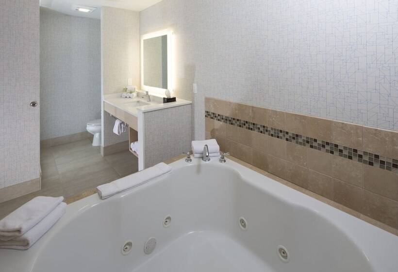 套房, Holiday Inn Express & Suites   Gaylord, An Ihg