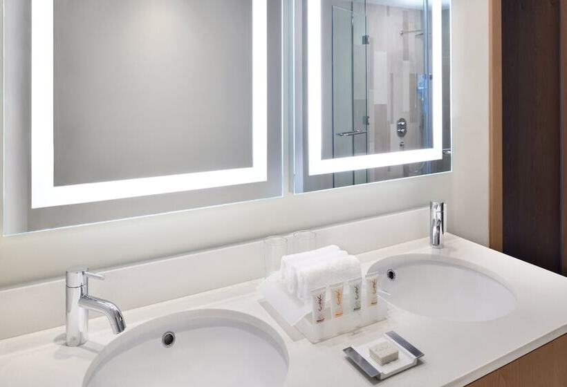 Номер Премиум Вид на Город, Holiday Inn & Suites   Dubai Festival City Mall, An Ihg
