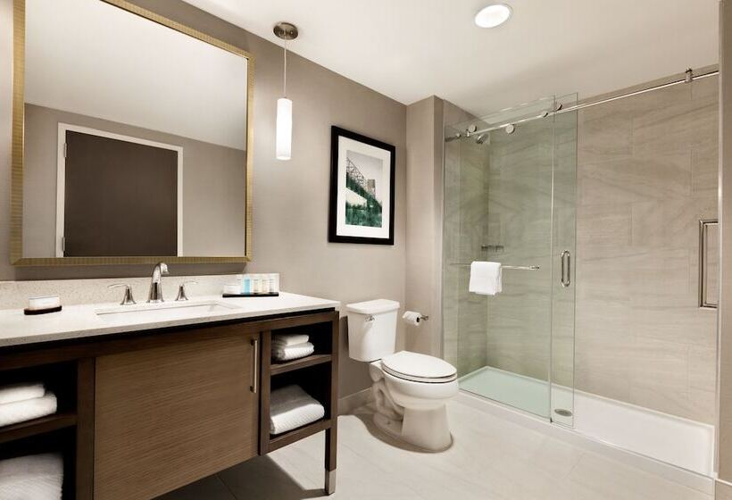 Студио Стандарт Кровать Кинг, Embassy Suites By Hilton Wilmington Riverfront