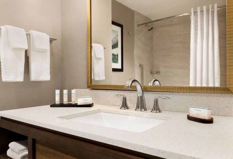 Люкс Кровать Квин, Embassy Suites By Hilton Wilmington Riverfront