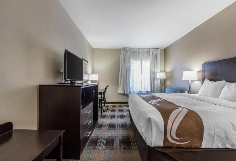 스탠다드 룸 킹사이즈 침대, Quality Inn Pleasant View