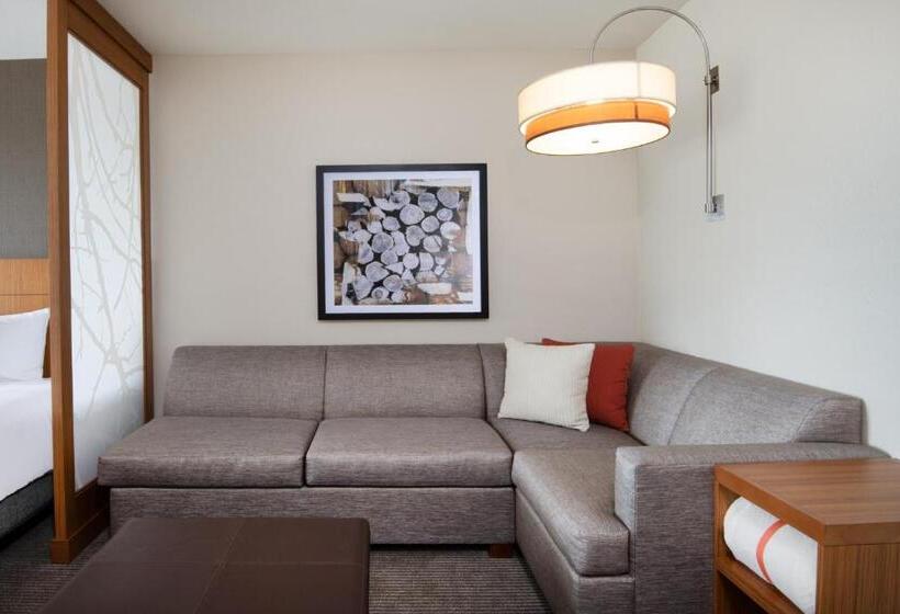 Номер Стандарт Верхний Этаж, Hyatt Place Westminster Denver