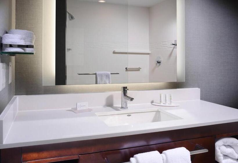 Standard-studio King-vuode, Residence Inn By Marriott Houston Pasadena