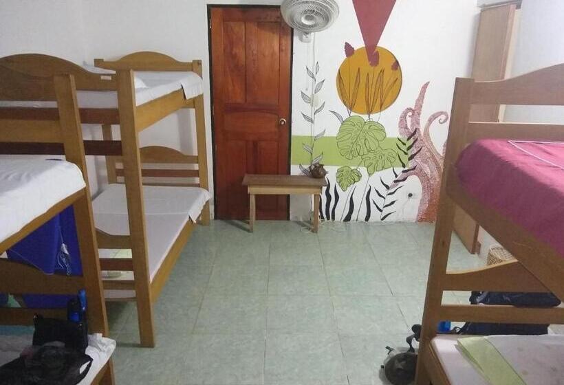 공동 객실, La Jangada Hostel & Tours