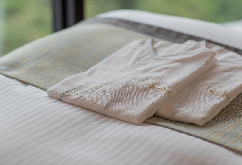 Номер Deluxe, Jr Kyushu Hotel Blossom Naha