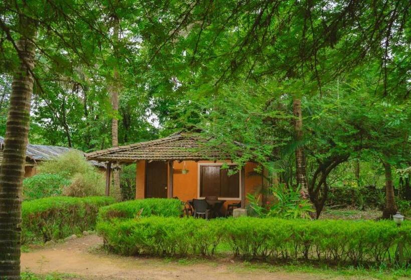 Номер Стандарт, Nature S Nest Eco Resort Goa, Near Dudhsagar Waterfalls