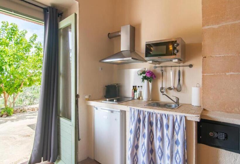 Superior studio with terrace, Finca Agroturismo Es Pujol