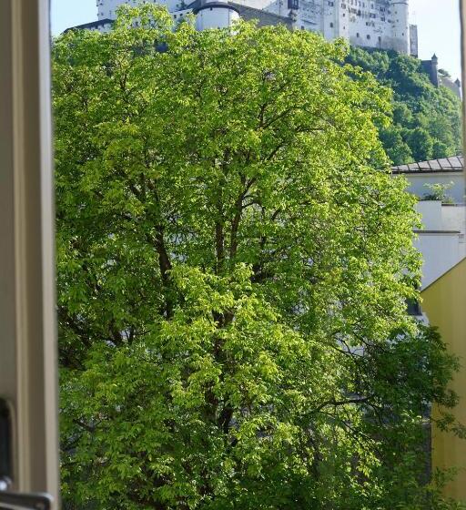Deluxe Zimmer mit Flussblick, Sarah S Altstadt Oase Salzburg