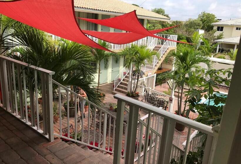 סטודיו סטנדרט, מיטה זוגית, The Big Coconut Guesthouse   Gay Men S Resort