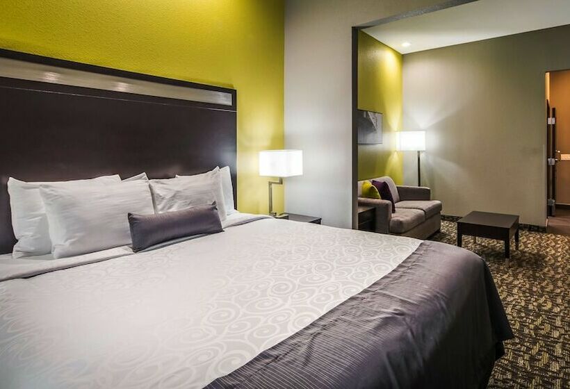 스위트, Best Western Plus Bay City Inn & Suites