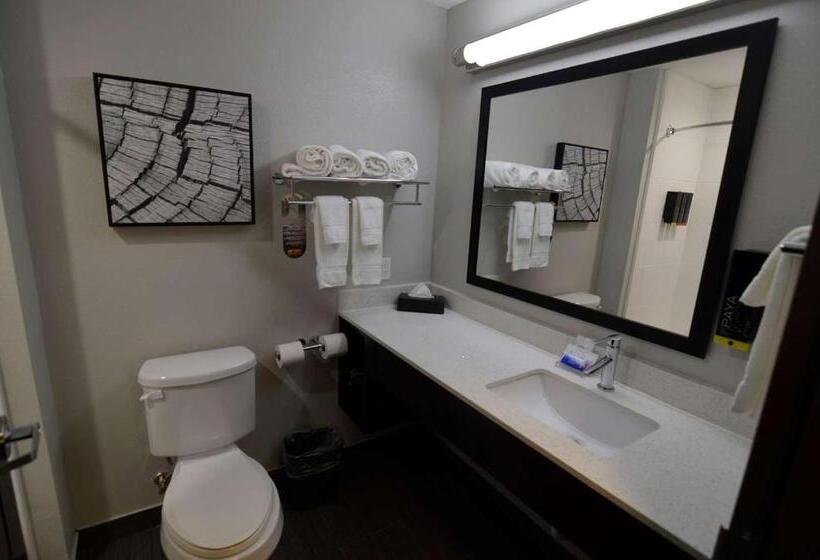 장애인을 위한 스위트, Best Western Plus Bay City Inn & Suites