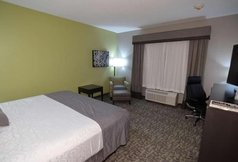 스탠다드 룸 킹사이즈 침대, Best Western Plus Bay City Inn & Suites