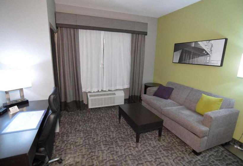 스위트 킹사이즈 침대, Best Western Plus Bay City Inn & Suites