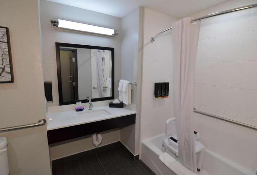 장애인을 위한 킹사이즈 침대 스탠다드 룸, Best Western Plus Bay City Inn & Suites