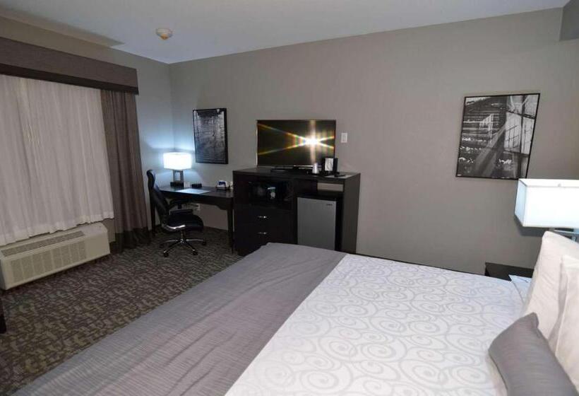 장애인을 위한 킹사이즈 침대 스탠다드 룸, Best Western Plus Bay City Inn & Suites