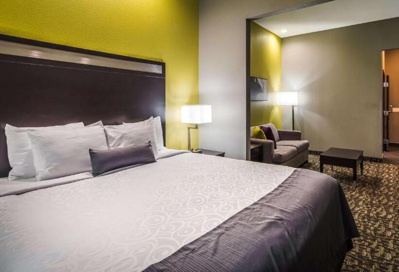 장애인을 위한 킹사이즈 침대 스탠다드 룸, Best Western Plus Bay City Inn & Suites