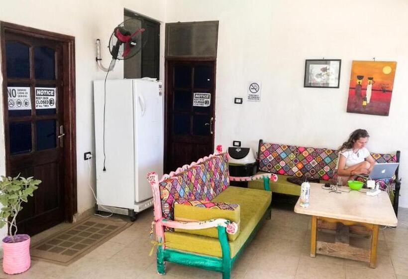 اتاق استاندارد با تختخواب دوطبقه و حمام مشترک, Deep Blue Divers Hostel Dahab
