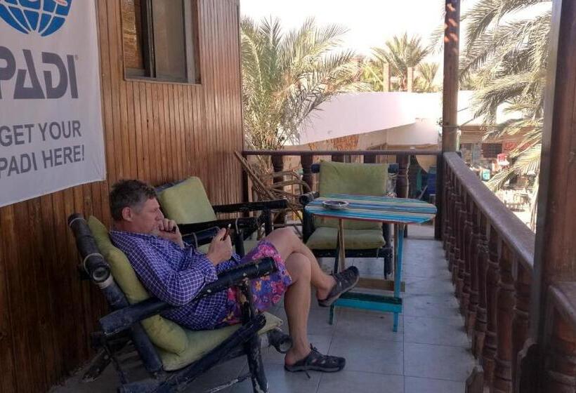 تختخواب در اتاق مشترک, Deep Blue Divers Hostel Dahab