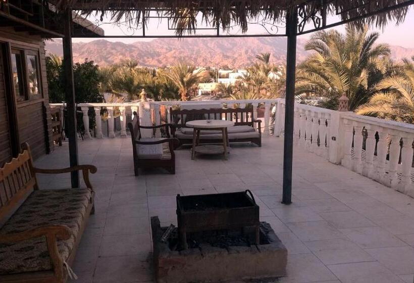 اتاق استاندارد با تخت‌های تاشو, Deep Blue Divers Hostel Dahab