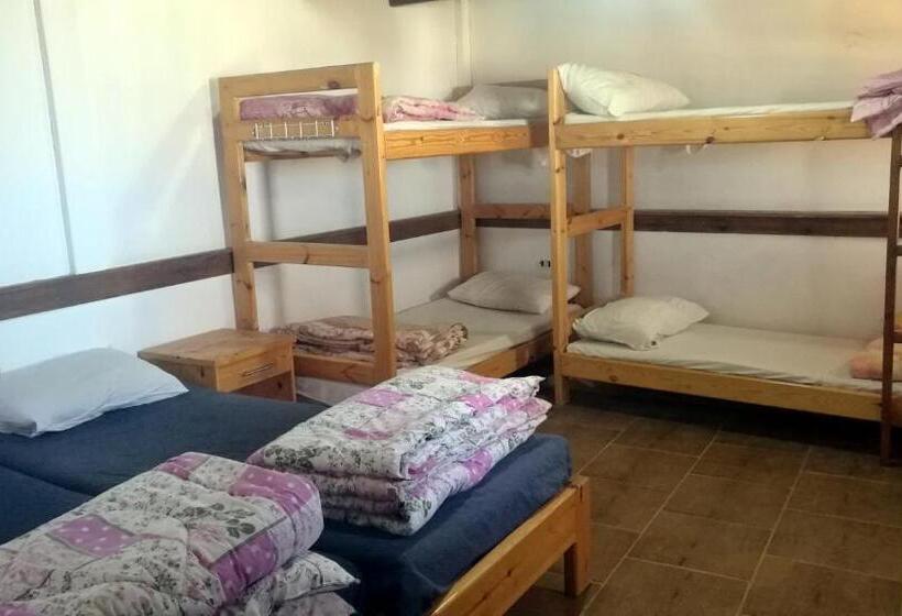 اتاق استاندارد با تخت‌های تاشو, Deep Blue Divers Hostel Dahab