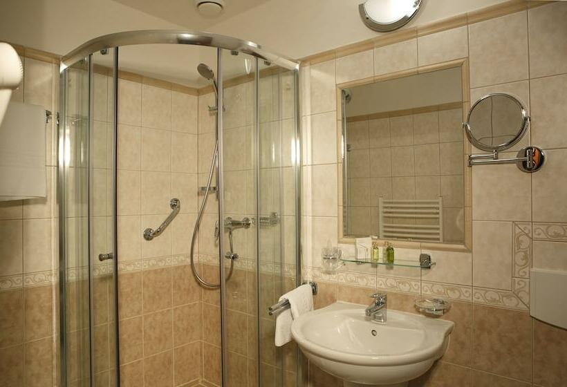 Habitación Estàndard Individual, Bristol Kralovska Vila
