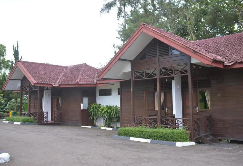 Студио Базик, Citra Cikopo Hotel & Family Cottages