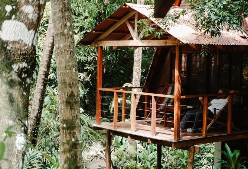 ガーデンビューのスタンダードバンガロー, Calala Lodge