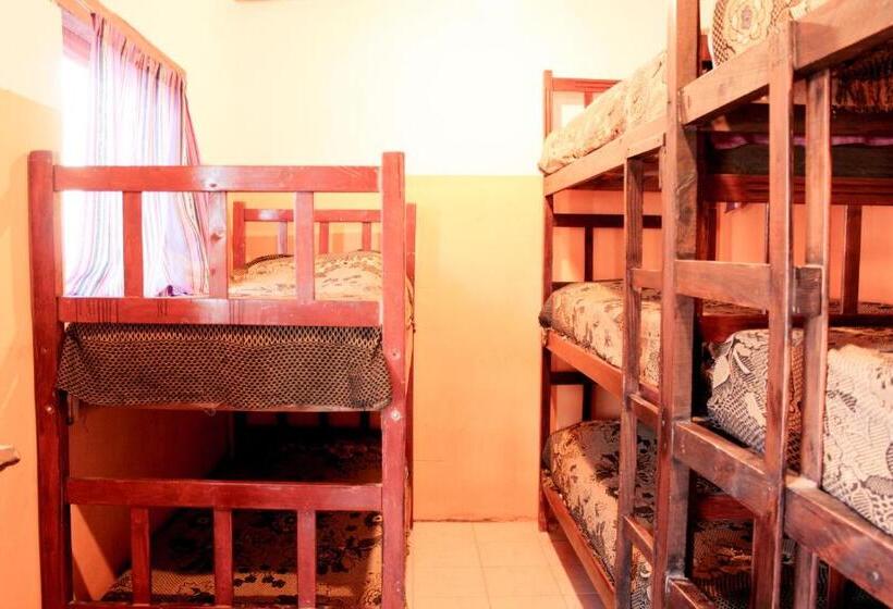 Кровать в Общей Комнате, Tierra Andina Hostel