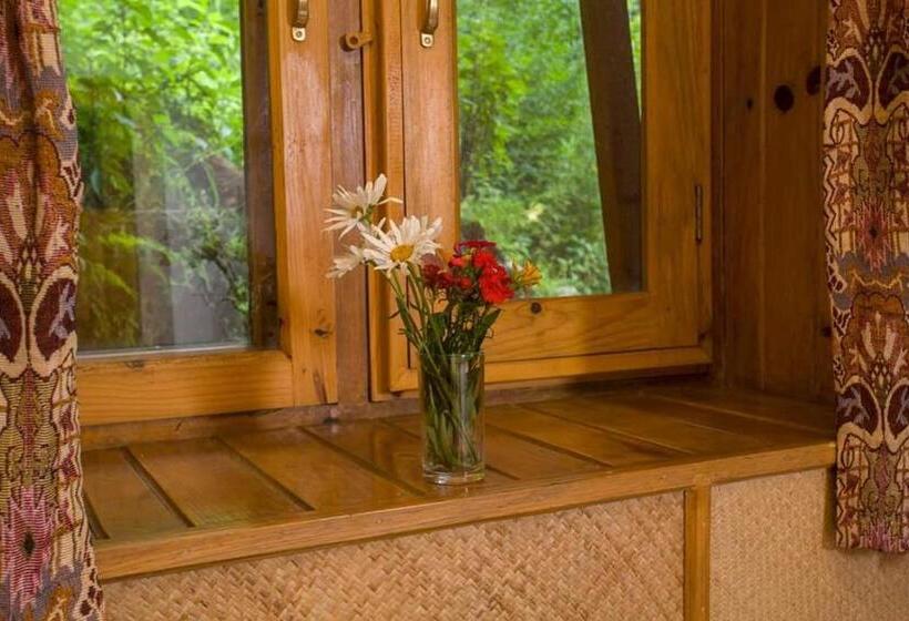 اتاق استاندارد با چشم‌انداز کوهستان, Everest Manla Resort