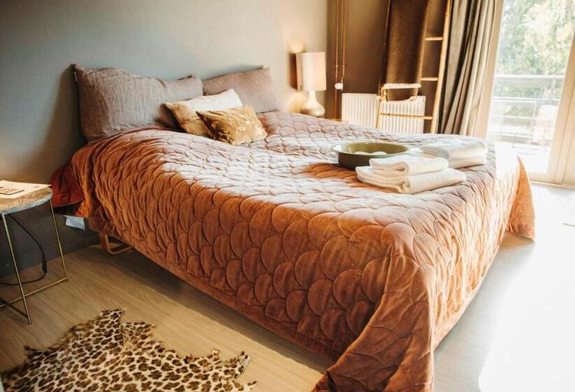 Quarto Estandar, The Falcon