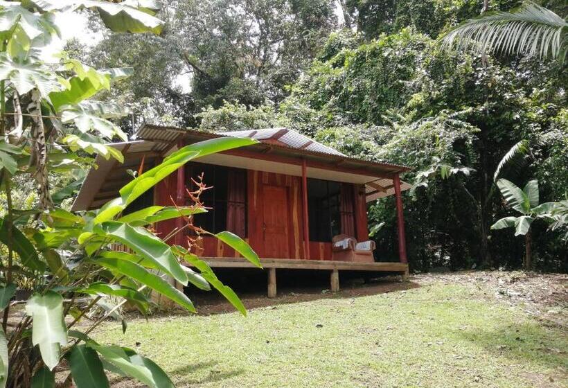 Семейный Номер Вид на Море, The Sunset Tucano Lodge