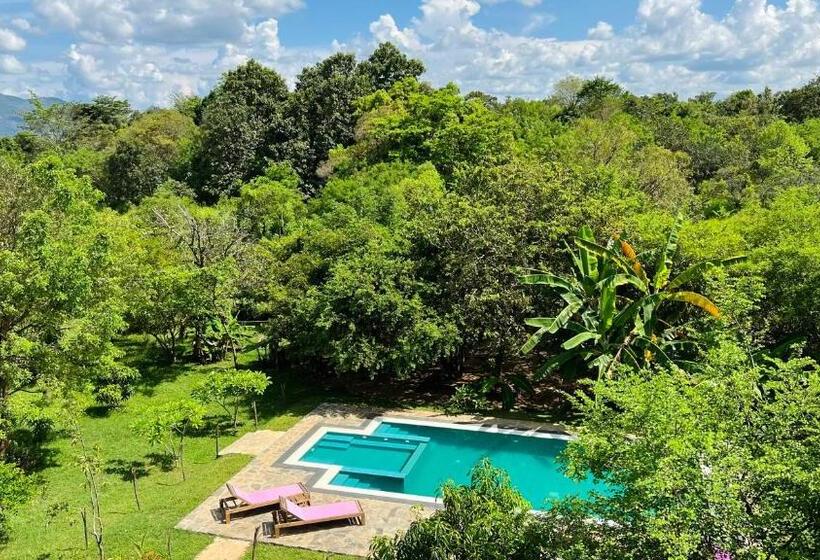 اتاق استاندارد سه تخته با چشم‌انداز, Into The Wild Sigiriya